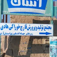 معاوضه کارخانه پرورش قارچ خوراکی با آپارتمان
