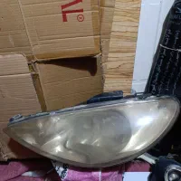 کفتر جفگاه|پرنده|مشهد, نوید|دیوار