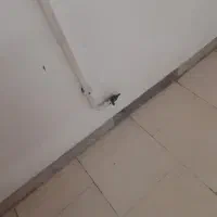 اجاره مغازه ۱۴ متر شهرداری خیابان شیک ۲۰۰ماهی۴۵