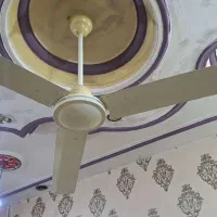 پنکه سقفی