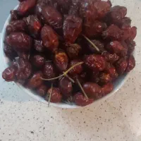 میوه نسترن تازه