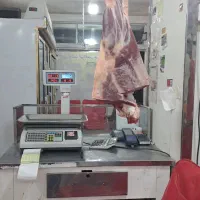 سلاخی رایگان|خدمات پیشه و مهارت|بجنورد, |دیوار