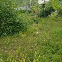 زمین۵۰۰متری در بهرام هچیرود