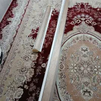 دو عدد پرده زبرا