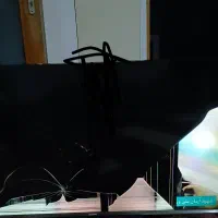 تلویزیون سامسونگ|تلویزیون و پروژکتور|رشت, دیانتی|دیوار