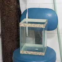 چند عدد آکواریوم و وسایل|حراج|اقبالیه, |دیوار