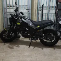 فروش موتور سیکلت بنلی 250|موتورسیکلت|بندرعباس, |دیوار