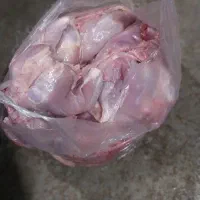 تلفات مرغ غذای سگ و گربه