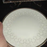 بشقاب میوه خوری چینی  پلمپ