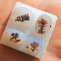 چهار عدد سنگ شجر قائنات