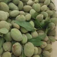 بادام سبز
