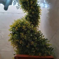 درخت چه|گل مصنوعی|اندیشه, اندیشه فاز ۳|دیوار