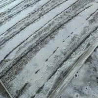 قالیشویی نانو پاک قالی شویی 100% تضمینی|خدمات نظافت|خرمآباد, |دیوار