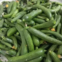 خیار سبز گلخانه ایی تازه