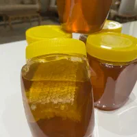 عسل طبیعی کوه دنا