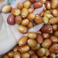سنجد و توت