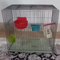 قفس پرنده