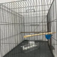 قفس پرنده