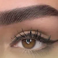 میکرو ابرو(شهرک اندیشه)