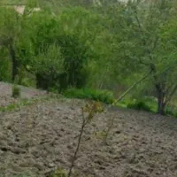 ۱۶۰ متر زمین مسکونی با پروانه قاضیان