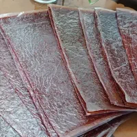 دستگاه خشک‌کن|سایر لوازم برقی|رشت, ساغری سازان|دیوار