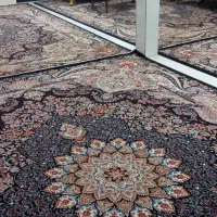 فروش 4 عدد فرش 12 متری (700 شانه)|فرش|شراء, |دیوار