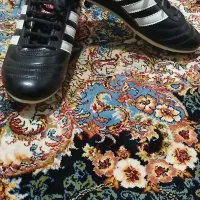 کفش فوتبالی