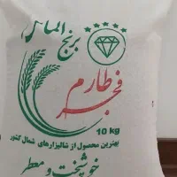 برنج طارم فجر شمال ایرانی زیر فی بازار