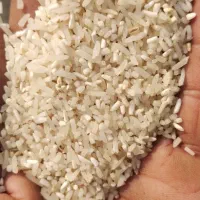 برنج فجر|عمدهفروشی|گرگان, |دیوار