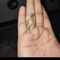 انگشتر طلا نو