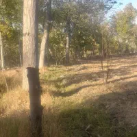 فروش باغ مرتب و مناسب