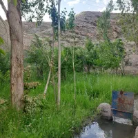 باغ معاوزباملک