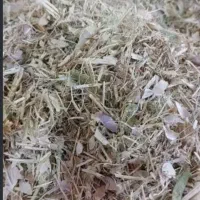 کاه لوبیا