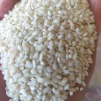 فروش برنج گرده ماهنشان