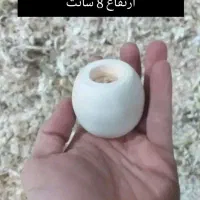 صنایع خراطی شده|صنایع دستی و سایر لوازم تزئینی|رشت, کوی مهر|دیوار