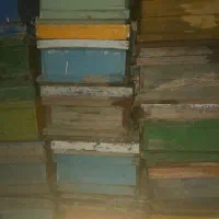 کندو زنبور عسل ۵۰۰ عددو۳۰۰ طبق|لوازم جانبی حیوانات|لاران, |دیوار