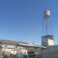 محل نگهداری سگ‌های بی سرپناه رایگان