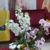 اجاره لاین تاتو به آقا یا خانم