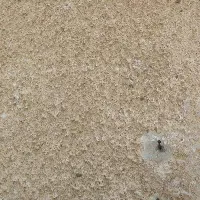 کارت بانکی و کارت ملی و ...گم شده به نام جعفری
