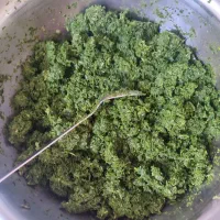 سبزی قورمه تازه خام و سرخ شده