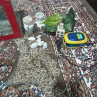 آکواریوم|ماهی|سقز, |دیوار