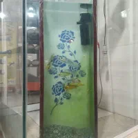 ماهی آب سرد|ماهی|زرند, |دیوار