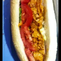 ساندویچ سرد|خوردنی و آشامیدنی|شیراز, شهرک مهدی‌آباد|دیوار