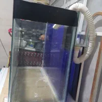 آکواریوم|ماهی|مشهد, توس (بلوار توس)|دیوار