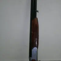 شاهین