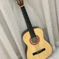 گیتار نو
