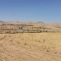 زمین 4000 متری سند دار قزوین|فروش زمین و ملک کلنگی|قزوین, |دیوار