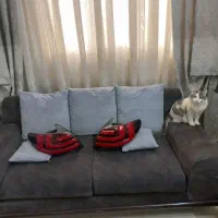 چراغ عقب ۲۰۶