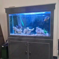 آکواریوم شیک و سالم+تمام ماهی ها و تزئینات فول ست