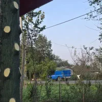 رهن کامل یک باب مغازه واقع در ماسال|اجارهٔ دفتر کار، اتاق اداری، مطب|ماسال, |دیوار